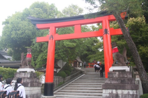 The Torii gates - Fushimi Inari Taisha
