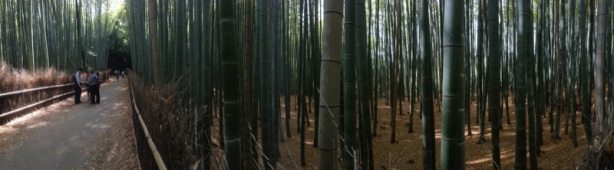 Past the garden is bamboo forest.