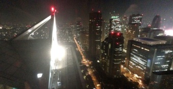 This is Tokyo. View from the New York Grill. Feeling a little Blade Runnery.